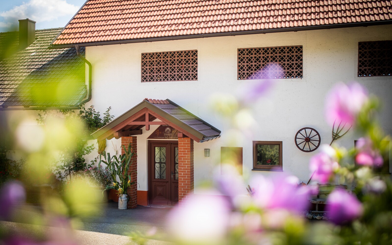 Appartements & Vinoteka David